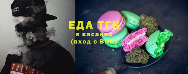 СК Инта